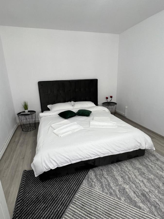 Blue Alpin Straja Apartment Vulcan  Екстериор снимка
